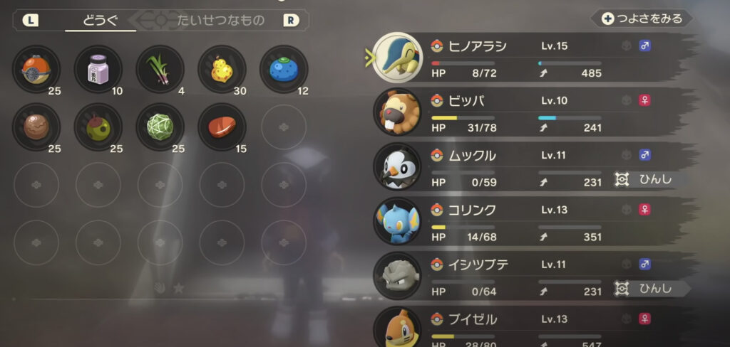 手持ち